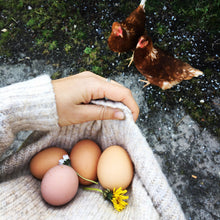 Load image into Gallery viewer, A Summer of Vegetables (Full box of veg Weekly or Bi-weekly)