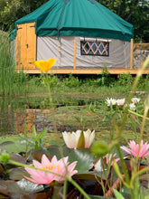 Load image into Gallery viewer, Paint the Garden Workshop