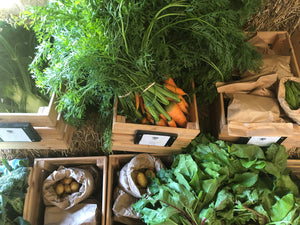 A Summer of Vegetables (Full box of veg Weekly or Bi-weekly)