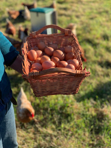 Weekly Winter Egg Subscription- Half Dozen